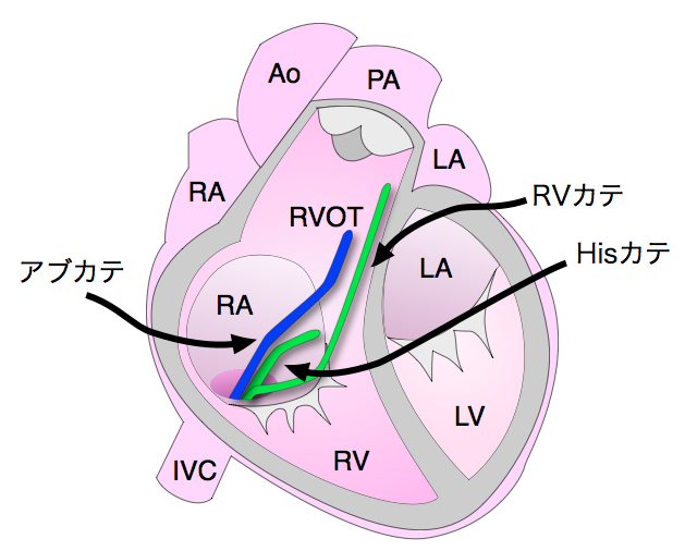 SOkƂ́@/Ǐ//Sd}/Õ@